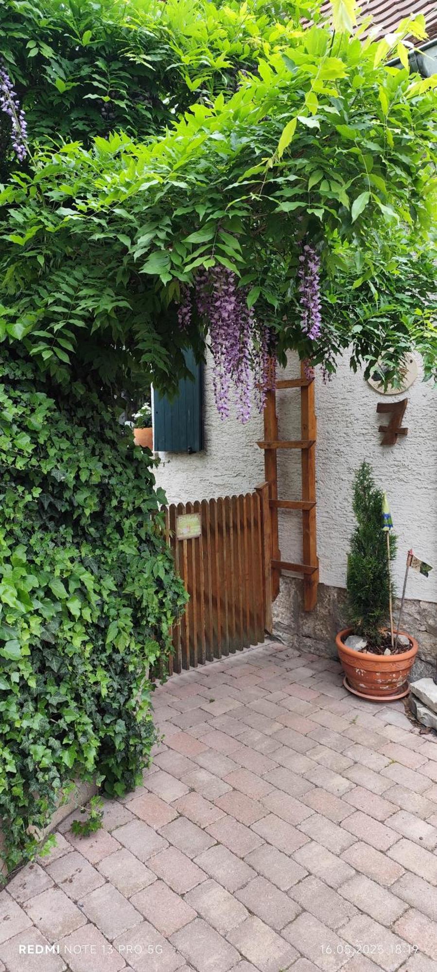 Ferienwohnung Geiernest Ochsenfurt Exteriör bild