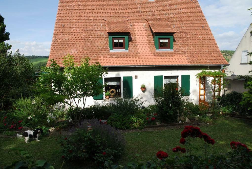 Ferienwohnung Geiernest Ochsenfurt Exteriör bild
